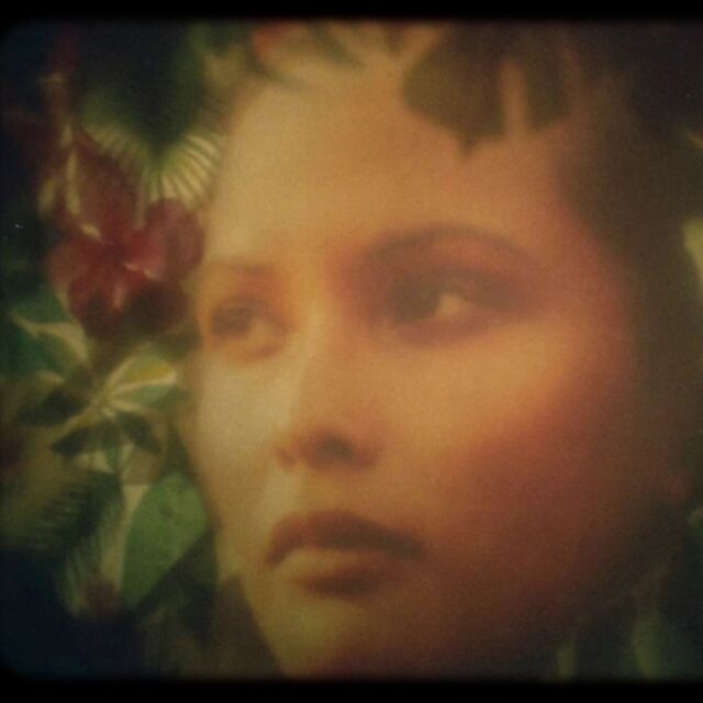 I'll be in Winnipeg later this week for @winnipegfilm 's Gimme Some Truth doc fest to present my short film THE RELUCTANT ICON about Black Emanuelle star Laura Gemser on Nov 9th - featuring animation by Winnipeg's own @leslie.supnet and editing by filmmaker/curator @stephenbroomer (who will also be at the fest with his own program of experimental shorts on Nov 7th) - PLUS Stephen and I will be on a panel with fellow fest guest @schlockvalue about independent distribution on Nov 8th! Check out the full lineup here: https://davebarbercinematheque.com/gimme-some-truth-documentary-festival/